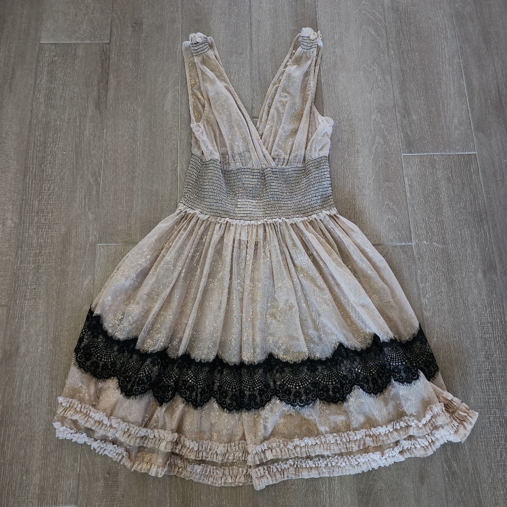 Free People Sheer Metallic Mini Dress with Slip
